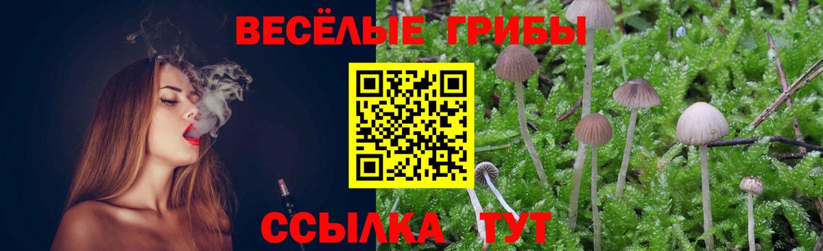 Тюмень  Псилоцибиновые грибы прущие грибы  Вход с VPN 